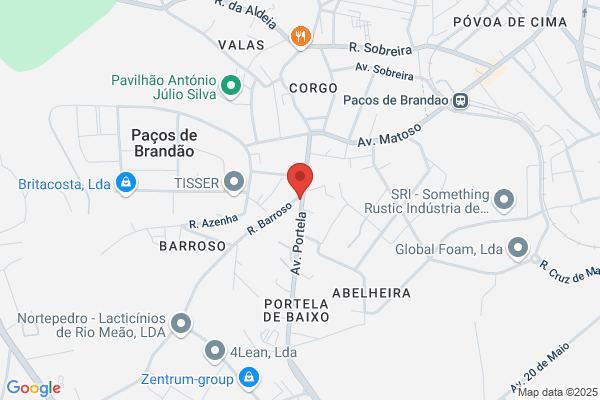 Carla A Teles Carvalho