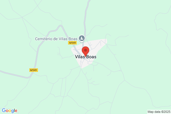 Fernando Vilas Boas