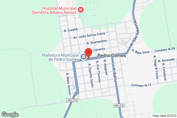 Pedro A G Gomes Mascarenhas