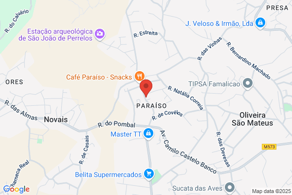 Rosa P Azevedo Bou|