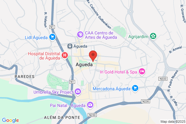 Rial-Representaiao De Informatica De Agueda. Lda