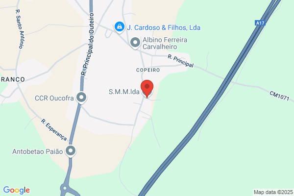 Sérgio Correia A A Mendes