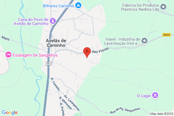Jardim Infãia De Areia-Rvore