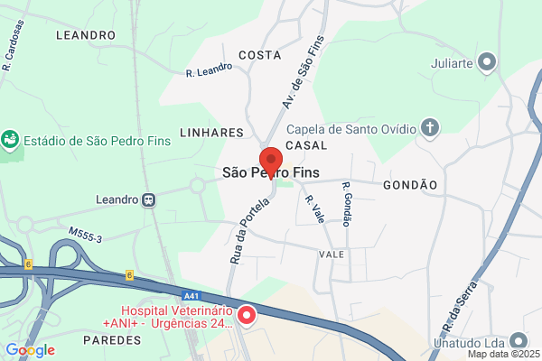 Abade São Pedro Fins