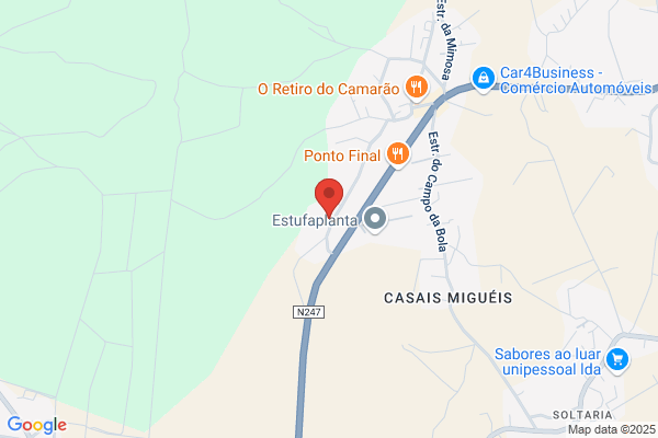 Sociedade Textil Da Assenta. Sa