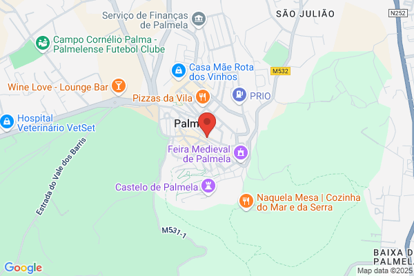 Carla A M Batista Fino