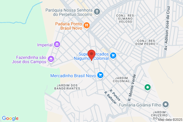 Aurora M Pereira Bastos