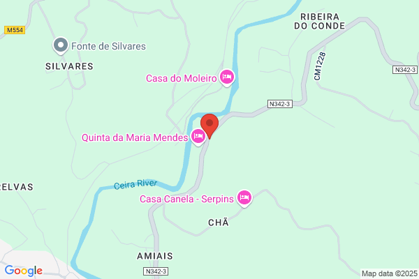 Maria I Gonlves Mendes