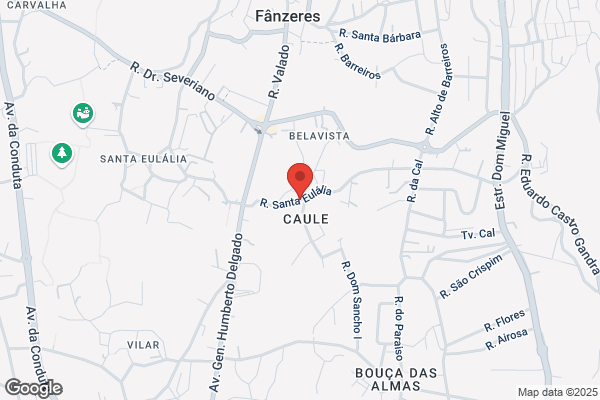 A Espelhadora De F nzeres. Lda