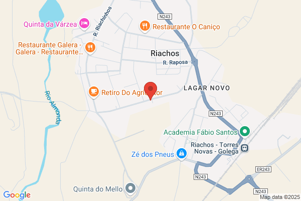 Desafios De Escolha-Consultoria Lda