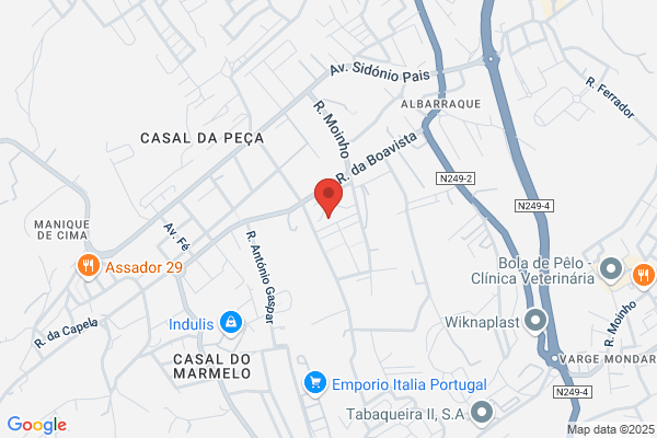 Ensaio Méco-Fisioterapia E Acupunctura