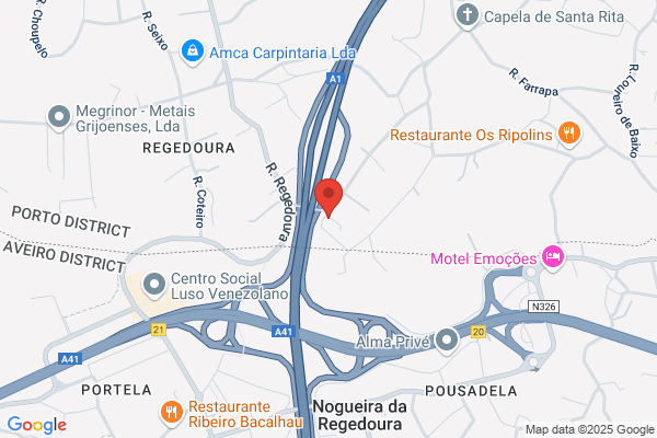 Domingues & Lourenàpereira Lda