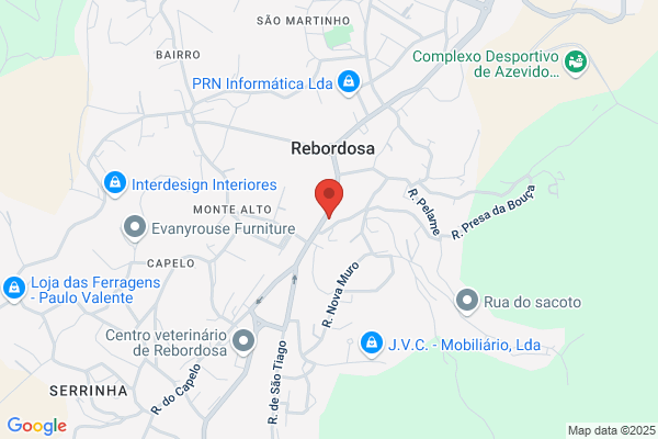 Ana J Dias S