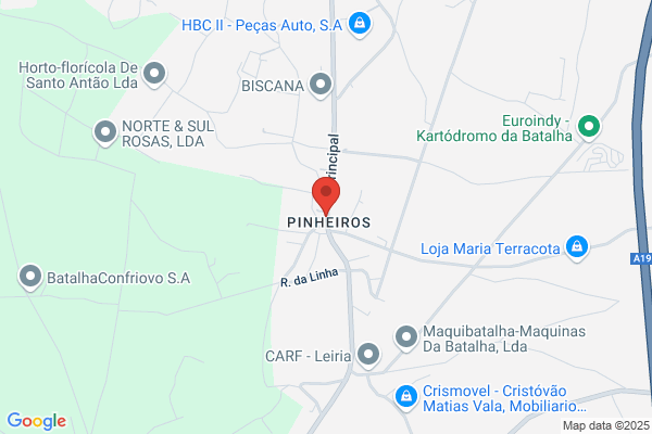 Armindo J S Gouveia Pereira