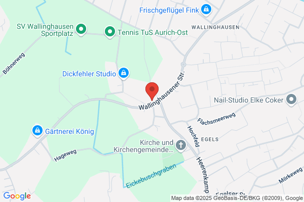 Maria G Carvalho Mauréo