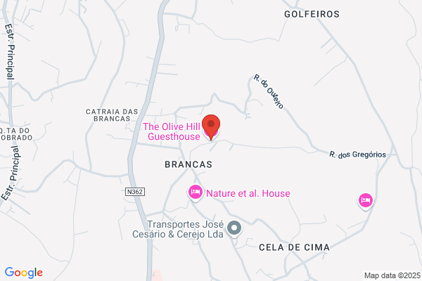 The Olive Hill Guesthouse