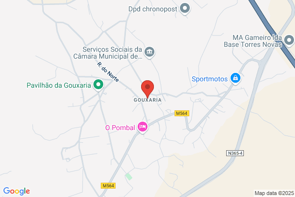 Coseli-Contabilidade E Serviios. Lda