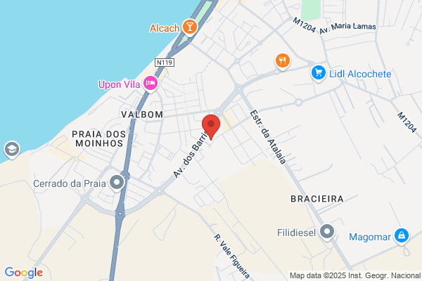 Maria Ana P Dias Neves