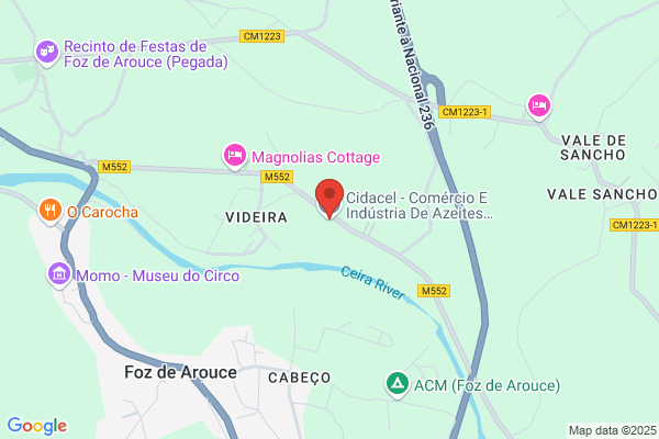 Manuel A P Vieira