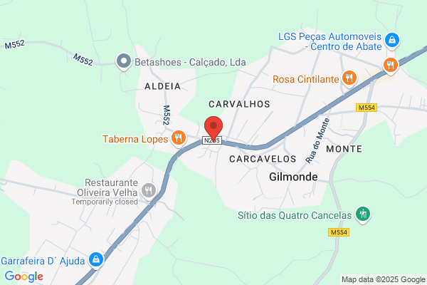 Açoreana Seguros: Agente Maria Alice Silva Gonçalves
