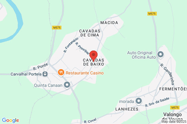 Fòica De Mis Das Cavadas Lda