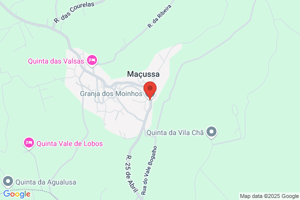 Maria C G Moinhos Henriques