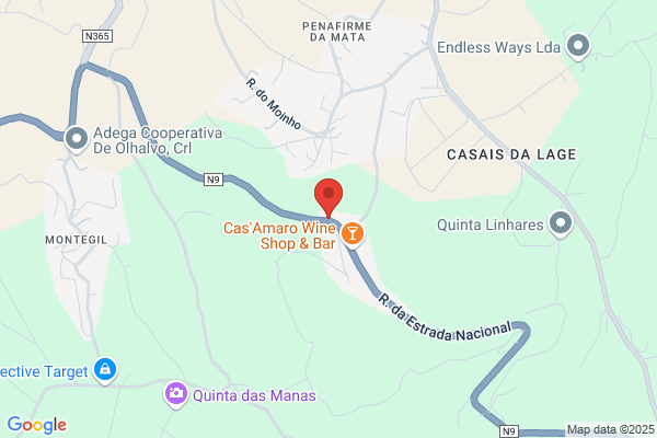 Ramiro N Teixeira Cruz