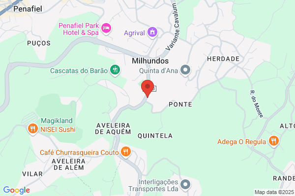 Abílio J Martins Coelho
