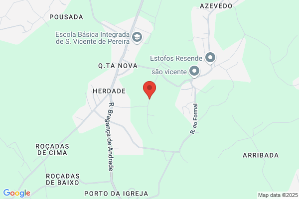 Domingos De Jesus Pereira Valentim