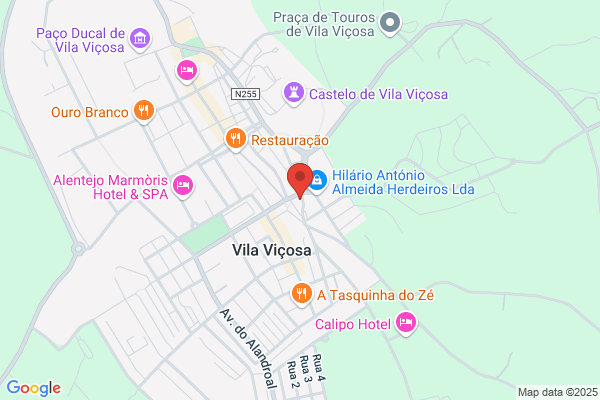 Halcon Viagens-Ermesinde