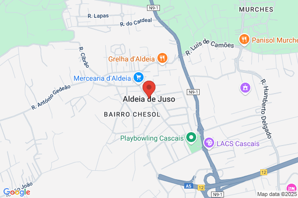 Ilustre Teoria-Actividades Imobiliéas Lda