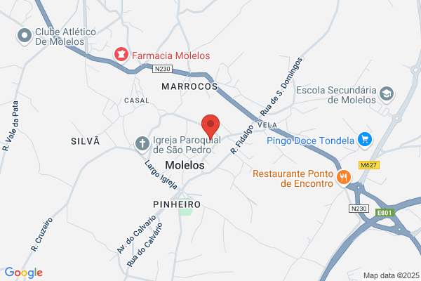 Carlos A Graça Vale Lda