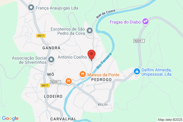 Anto R Carrilho Coelho