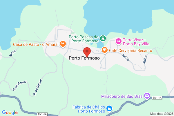 Maria Manuela V M Pereira