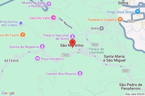 Pedro Freitas,celissia Silva-Santos E Silvia Rocha