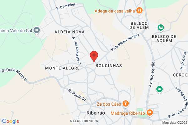 Jardim Escola O Ribeiro Lda