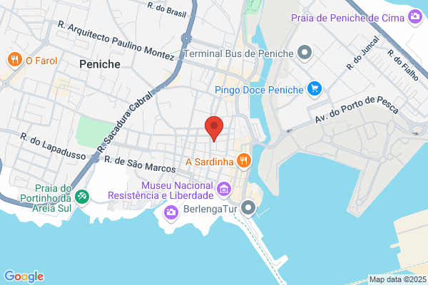 Sandra S Santos Silva