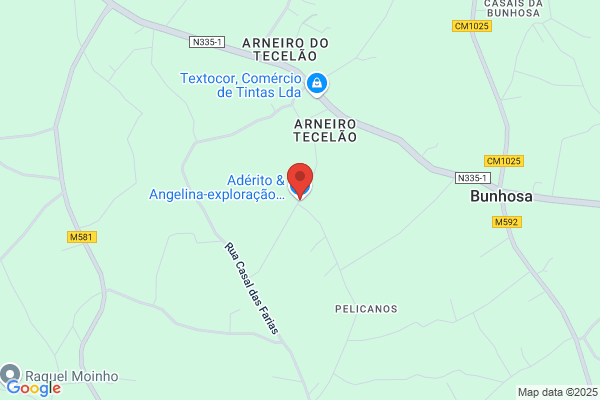 Antanio Joaquim Martins Brito