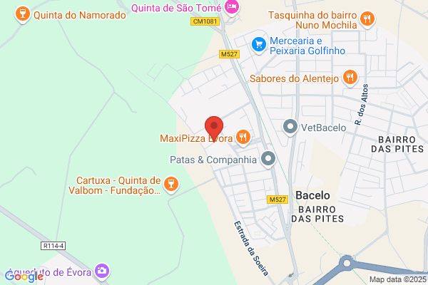 Joaquim P Martinho Silva
