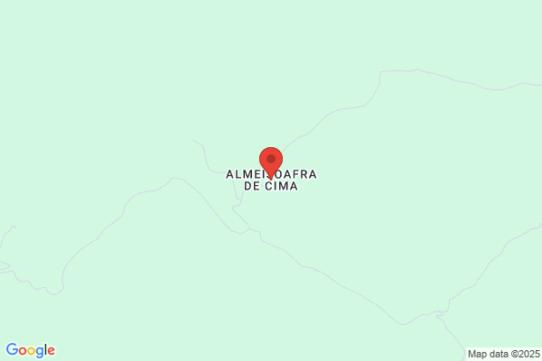 Odia M C Marinho Almeida