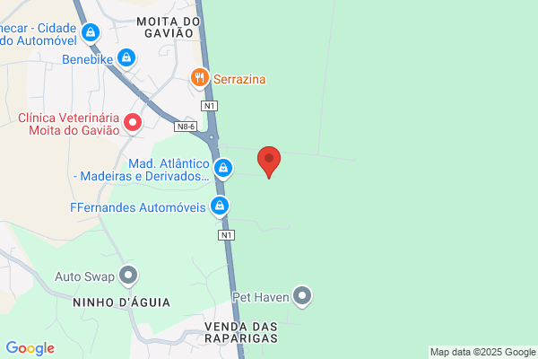 João P Condinho Sousa