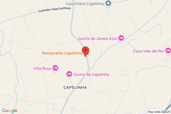 Dinis J Pereira Martins