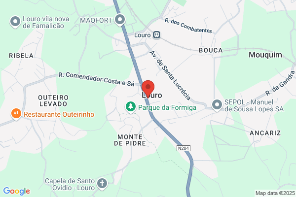 Maria Luesa Da Costa Louro Antunes