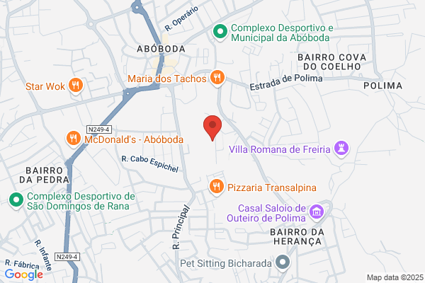 D S P-Desenvolvimento E Produiao De Sistemas. lda