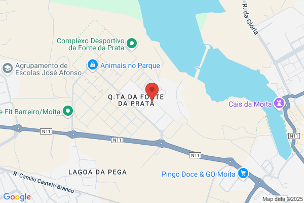Anto R Fernandes Zorro