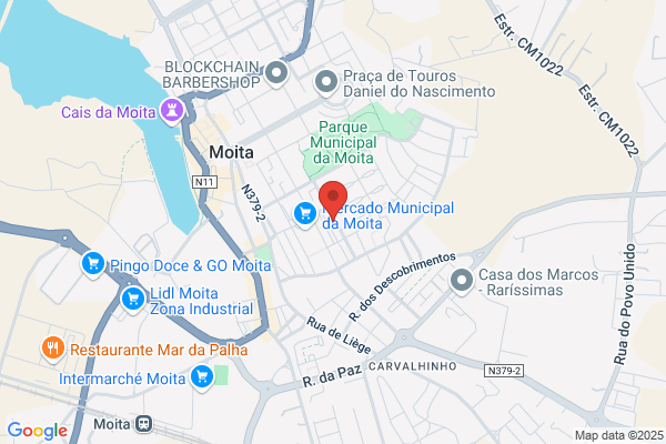 José A Nunes Estêvão