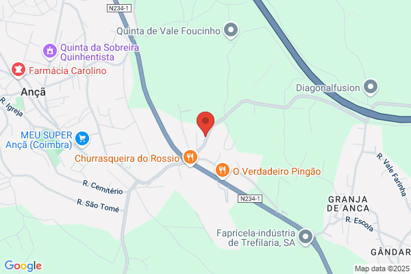 Adelino Granja