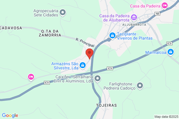 Fernando J F Fleming Oliveira