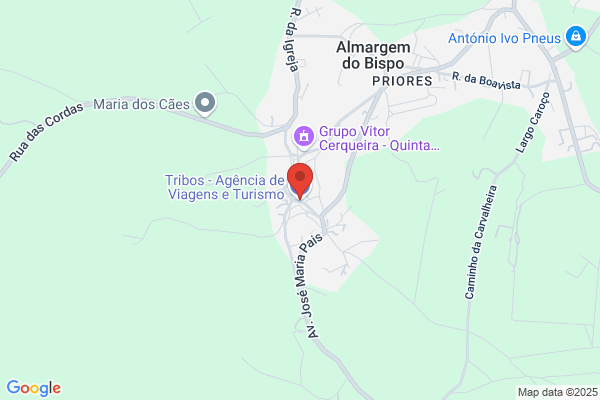 A C P-Viagens E Turismo. Lda