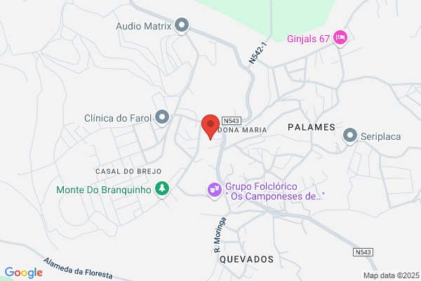 A M Salgueiro Baptista. Lda